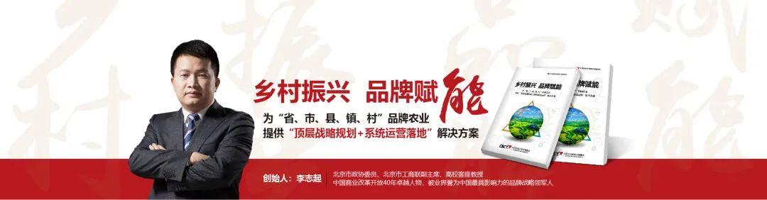 中国十大咨询公司是哪些（中国十大咨询公司排名）
