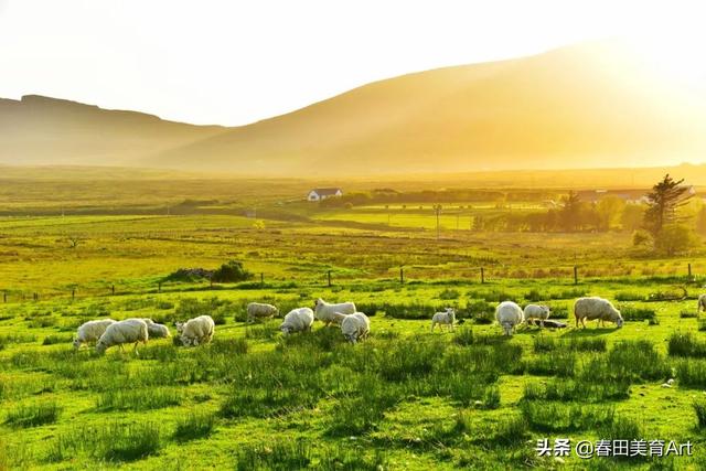 平面图栅栏怎么画（房子旁边的栅栏怎么画）
