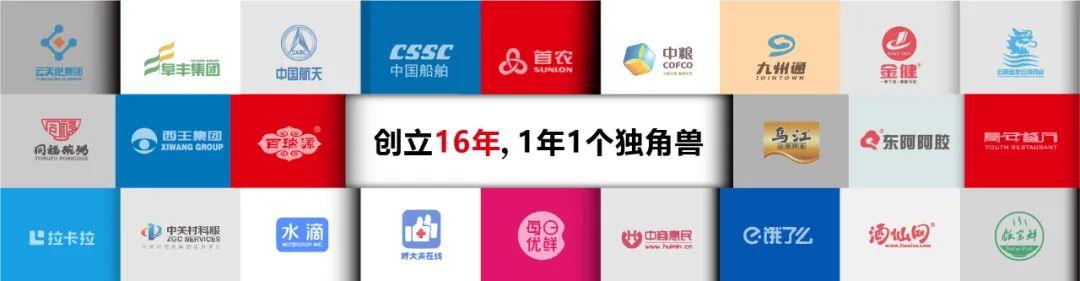 中国十大咨询公司是哪些（中国十大咨询公司排名）