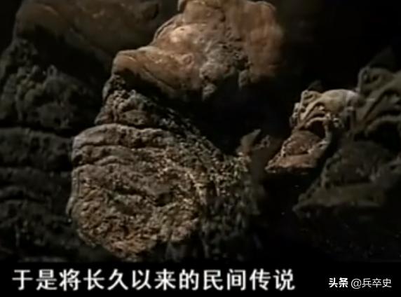 树舌灵芝图片价格 功效（树舌灵芝图片价格 有毒）