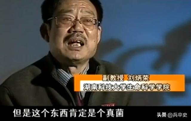 树舌灵芝图片价格 功效（树舌灵芝图片价格 有毒）