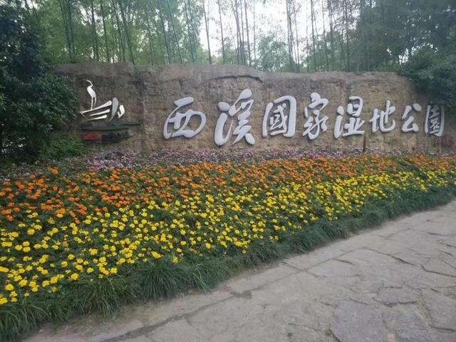 花名男生两个字威猛（花名男生两个字植物）