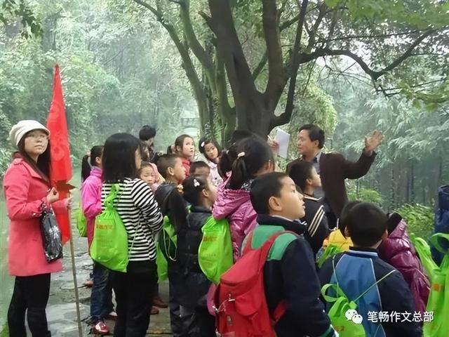 笔畅作文培训加盟（笔畅作文教材电子版）