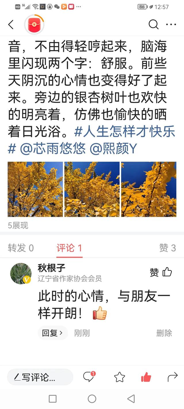 网络流行语抢沙发是什么意思，抢沙发的网络用语