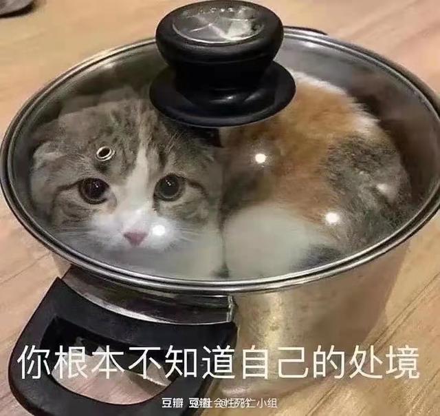 闲鱼手续费太贵了吧（闲鱼手续费比交易猫低吗）