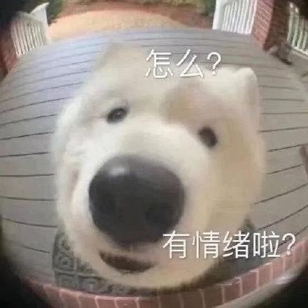 影视解说自动剪辑神器app（影视解说自动剪辑神器软件）