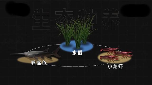 农村养殖什么好养又赚钱，农村养殖什么好养又赚钱又好卖？