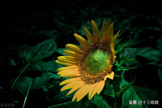 僵尸生活1完结版巴比伦（僵尸生活1礼包码）