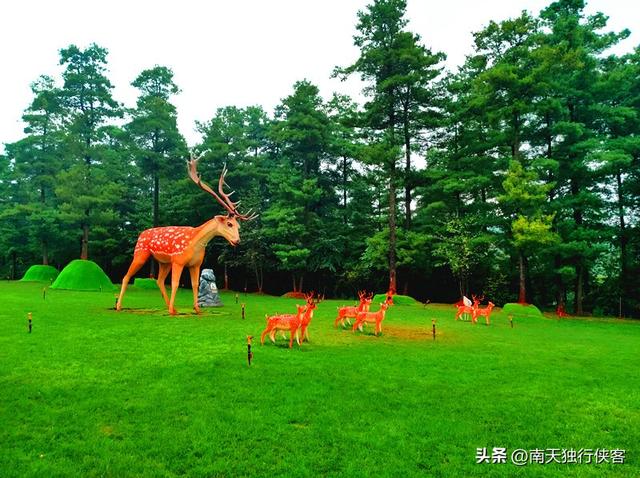 昆明抖音网红景点地名，昆明网红景点有哪些？