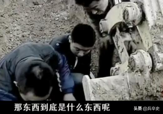 树舌灵芝图片价格 功效（树舌灵芝图片价格 有毒）
