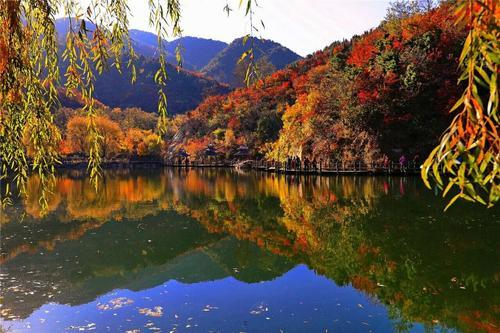 景区暴利赚钱项目有哪些，景区暴利赚钱项目有哪些平台？