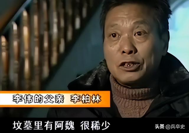 树舌灵芝图片价格 功效（树舌灵芝图片价格 有毒）