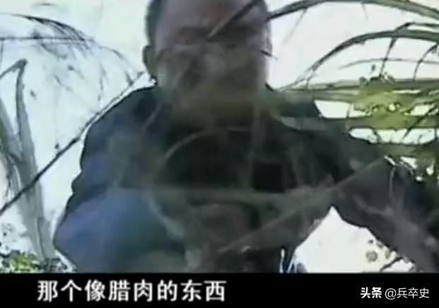 树舌灵芝图片价格 功效（树舌灵芝图片价格 有毒）