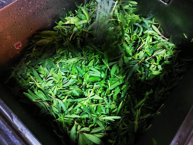 一朝鲜包子商户概况（一朝鲜包子怎么样）