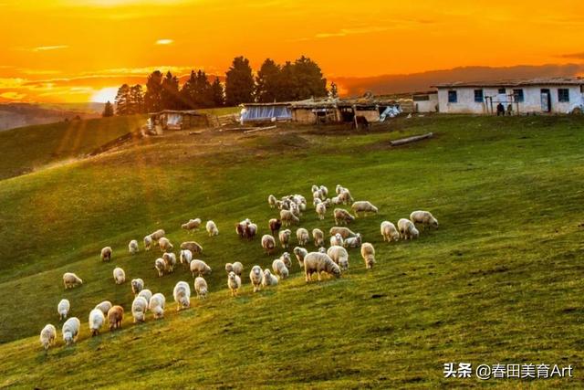 平面图栅栏怎么画（房子旁边的栅栏怎么画）