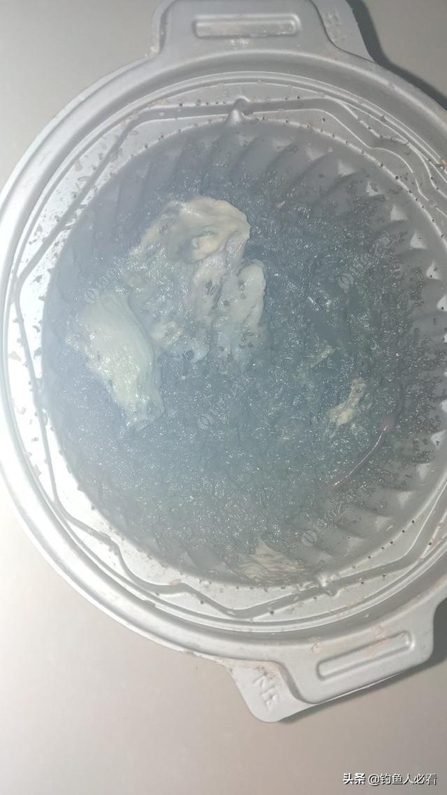 如何养蚯蚓(塑料瓶)（家庭如何养蚯蚓）