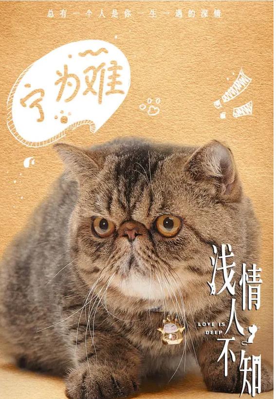 流量变现好做吗，私域流量变现好做吗？