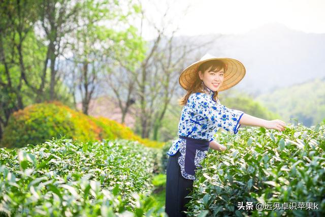 自主创业项目推荐（自主创业平台）