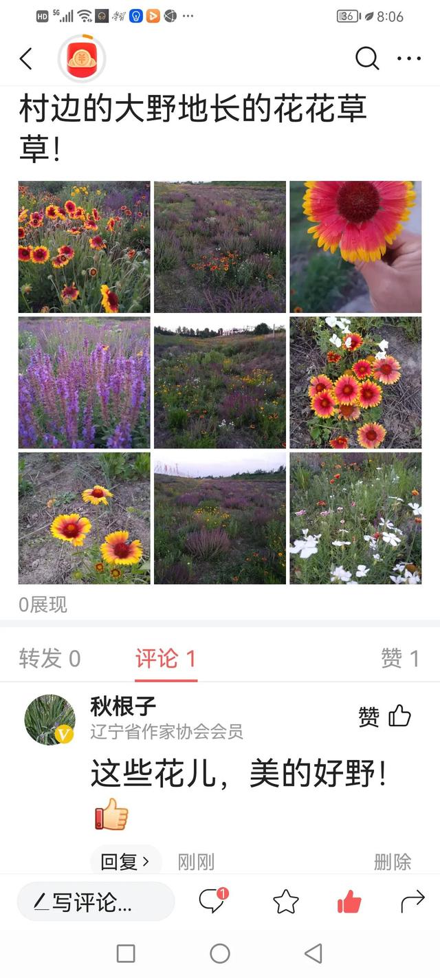 网络流行语抢沙发是什么意思，抢沙发的网络用语