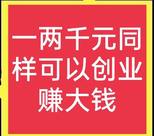 农村挣钱项目（挣钱项目排行榜）