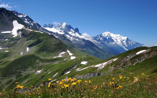 阿尔卑斯山海拔不高为什么有雪山（阿尔卑斯山海拔最高多少米）