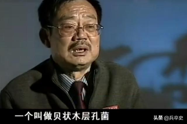 树舌灵芝图片价格 功效（树舌灵芝图片价格 有毒）