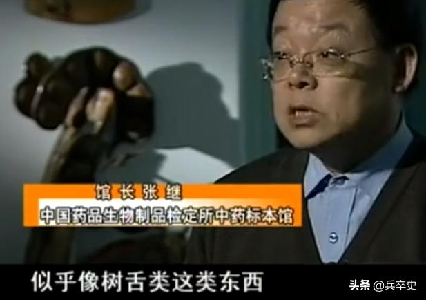 树舌灵芝图片价格 功效（树舌灵芝图片价格 有毒）