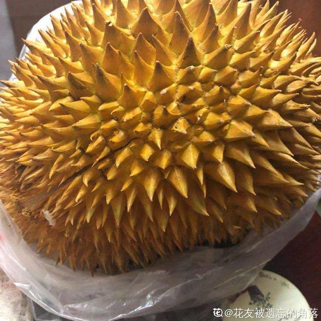 水果大全图片和名字黄色（水果大全图片和名字 罕见 品种）