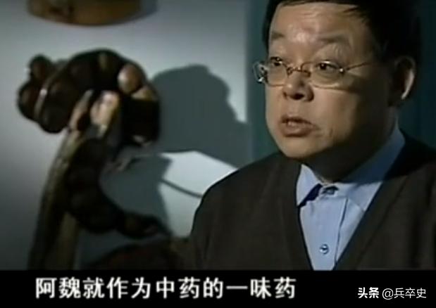 树舌灵芝图片价格 功效（树舌灵芝图片价格 有毒）