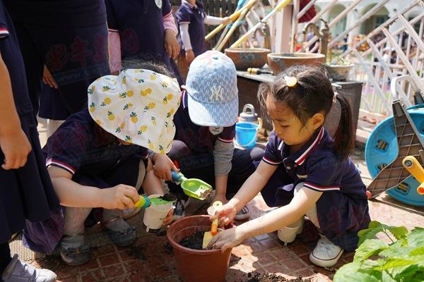 幼儿园游戏项目有哪些，游园活动游戏大全幼儿园？