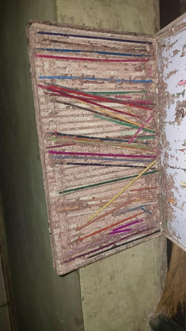 蓝色的鸟蛋值钱吗（小的蓝色的鸟蛋）