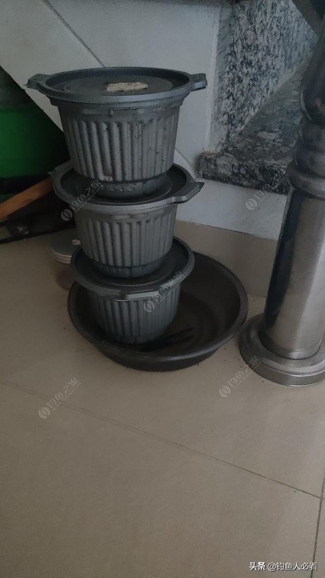 如何养蚯蚓(塑料瓶)（家庭如何养蚯蚓）