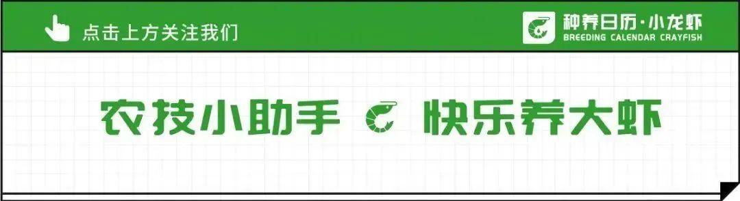 河南抖音网红前30排行榜（2022抖音网红前30排行榜）