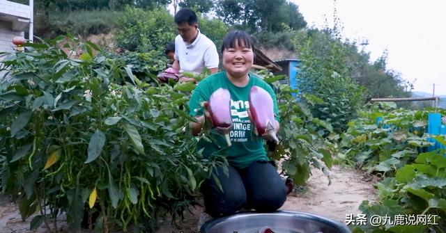 百万粉丝自媒体月收入多少，百万粉丝自媒体月收入多少钱
