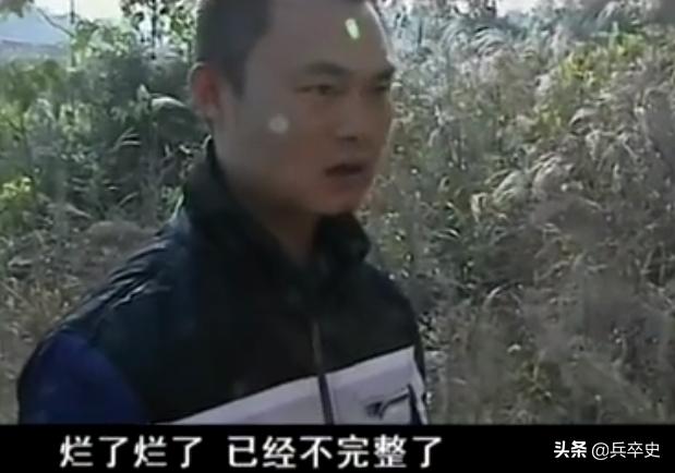 树舌灵芝图片价格 功效（树舌灵芝图片价格 有毒）