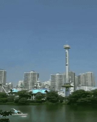 蓝色的鸟蛋值钱吗（小的蓝色的鸟蛋）