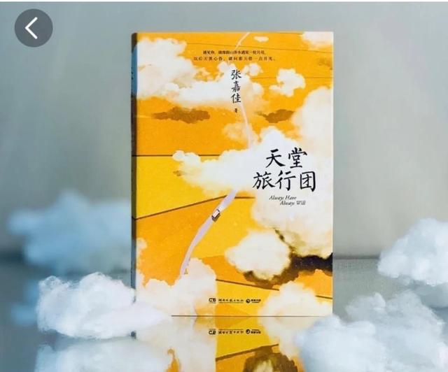 天堂旅行团读后感600字（天堂旅行团读后感50字简短）