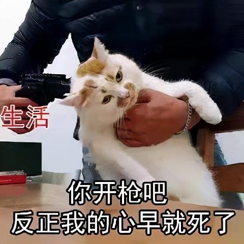 闲鱼手续费太贵了吧（闲鱼手续费比交易猫低吗）