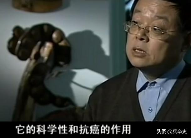 树舌灵芝图片价格 功效（树舌灵芝图片价格 有毒）