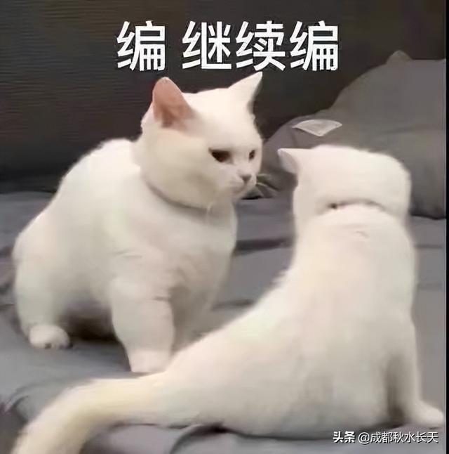 两性情感网（#两性情感#其实我们未必真懂得情与爱那些事之六十四（本人原创））