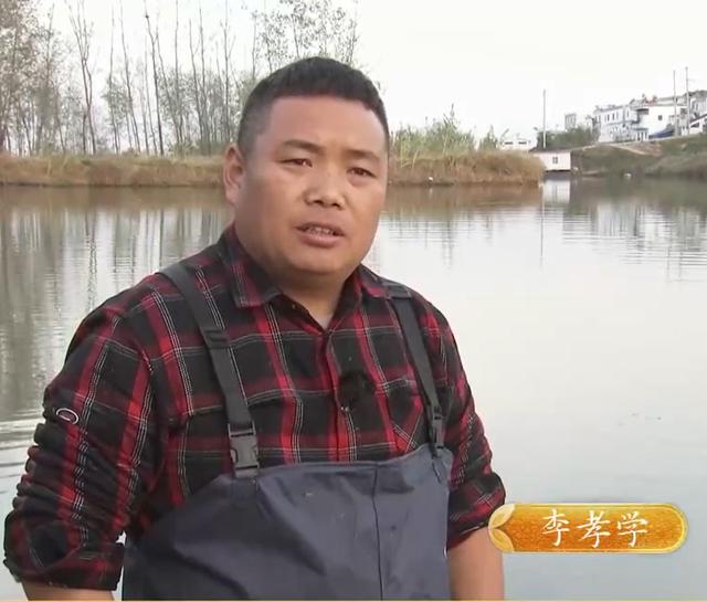 农村养殖什么好养又赚钱，农村养殖什么好养又赚钱又好卖？