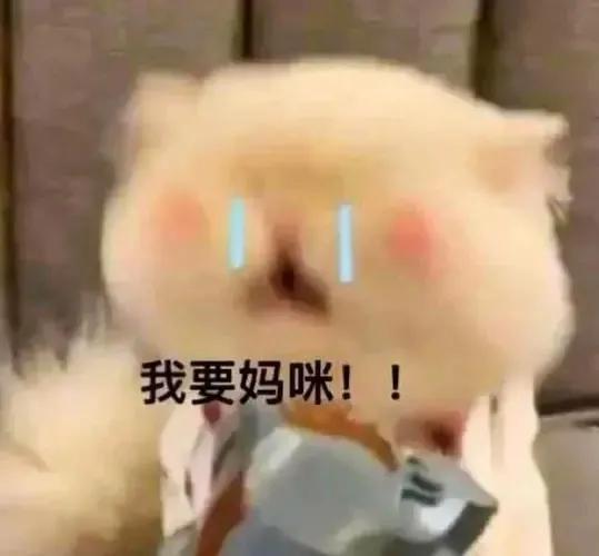 妈宝女婚姻的下场知乎小说，妈宝女婚姻的下场知乎全文？