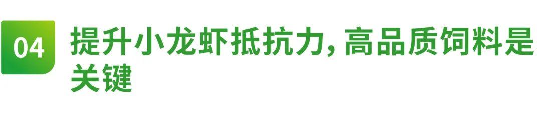 河南抖音网红前30排行榜（2022抖音网红前30排行榜）