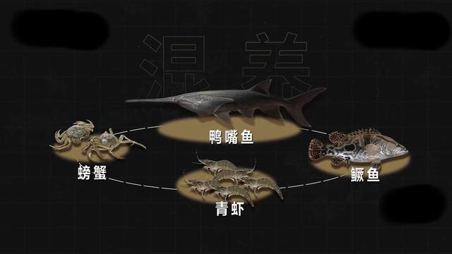 农村养殖什么好养又赚钱，农村养殖什么好养又赚钱又好卖？