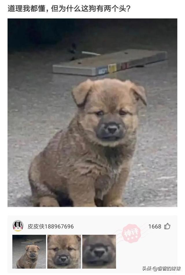 高情商拒绝相亲对象范文（高情商的拒绝相亲对象）