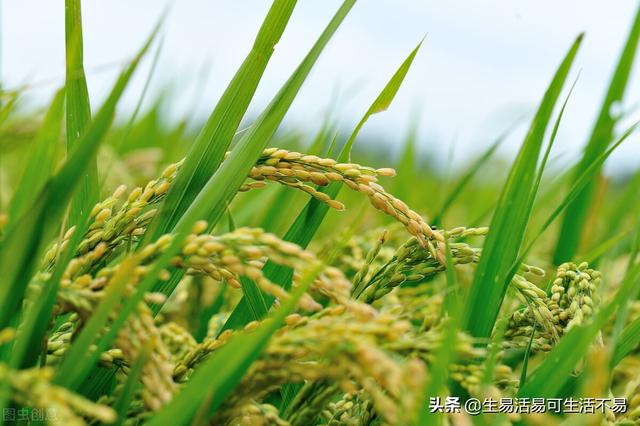 甘肃是偏远地区吗（甘肃省属于偏远地区吗）