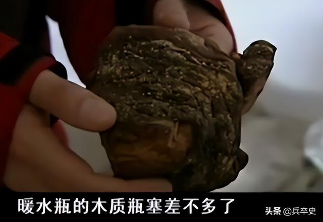 树舌灵芝图片价格 功效（树舌灵芝图片价格 有毒）