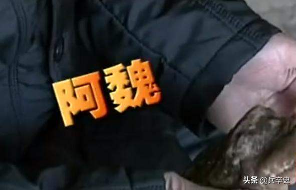 树舌灵芝图片价格 功效（树舌灵芝图片价格 有毒）