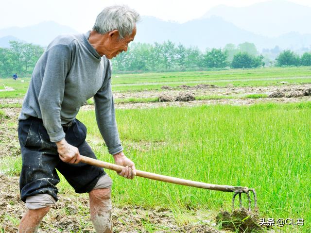 农村做什么生意好挣钱2022年，农村做什么生意好挣钱2022年龄？