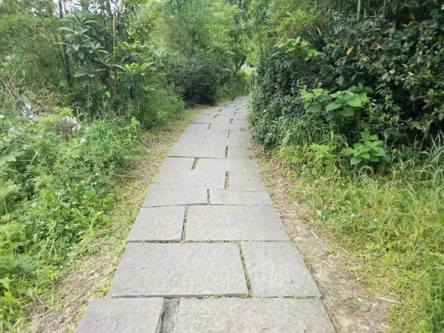 花名男生两个字威猛（花名男生两个字植物）